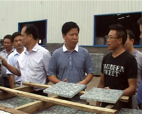 县委书记贺志刚到才湾镇开展调研活动,全州之窗,全州新闻
